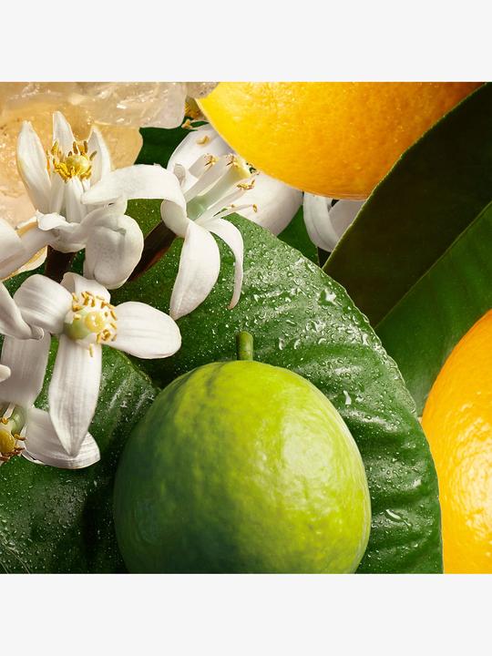 Actual product image Molton Brown Body Lotion Orange & Bergamot (Body lotion, 300 ml)