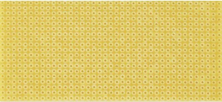 Actual product image Rademacher Perforated grid plate (Circuit board)