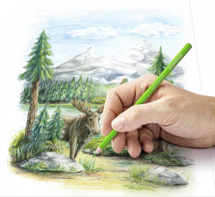 Actual product image Staedtler Coloured pencil (Orange, Bordeaux red, Yellow, Peach, Blue, Light blue, Red, 12 x)