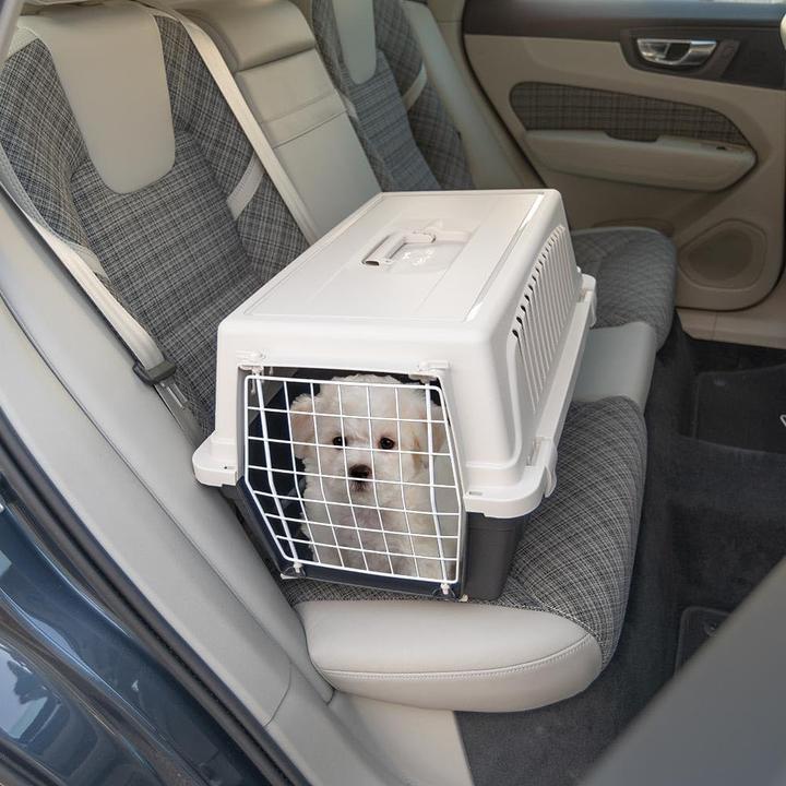Immagine prodotto Ferplast Atlas 20 EL - trasportatore di animali grigio chwarz (Cane, Gatto, Riflettori)