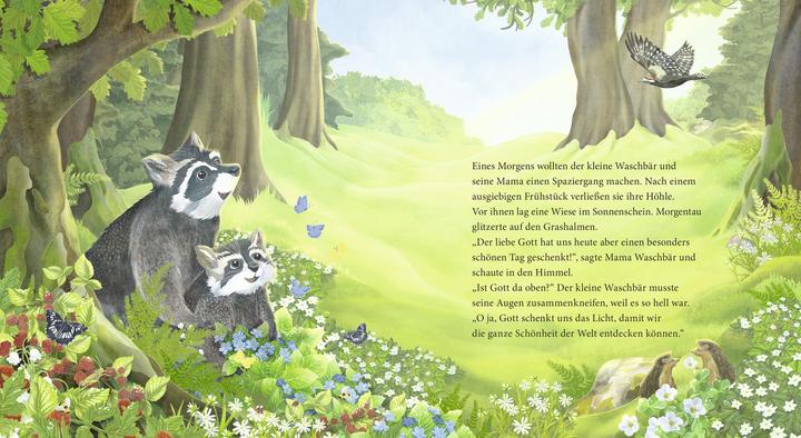 Immagine prodotto Der kleine Waschbär fragt nach Gott – ein Bilderbuch für Kinder ab 2 Jahren (Tedesco, Lea Kässmann, 2020)