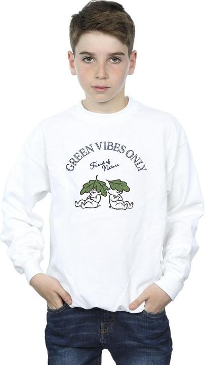 Immagine prodotto Disney Chip 'n Dale Green Vibes Only Felpa Ragazzi (140, 146)