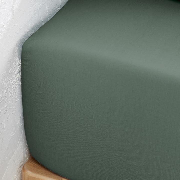 Immagine prodotto La Redoute Interieurs Percale Bio (180 x 200 cm)