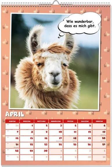 Image du produit Calendrier des affiches Coole Lamas 2025 (Allemand)