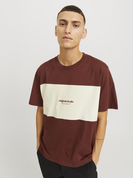 Produktbild Jack & Jones Jorvesterbro Block Tee Ss Crew Styd Aw24 (S)
