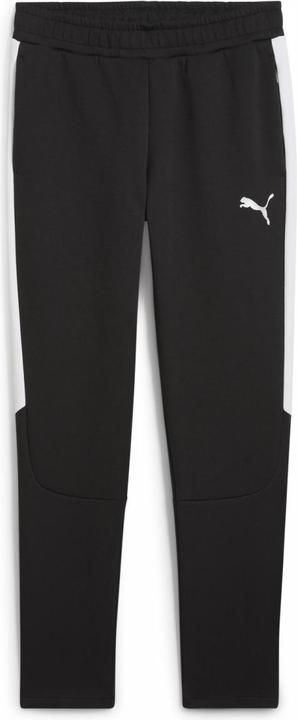 Image du produit Puma teamEVOSTRIPE Pants (L)