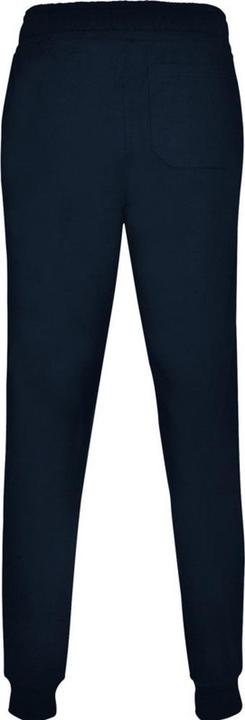 Actual product image Alpinia Mens Adelpho Trousers (XL)