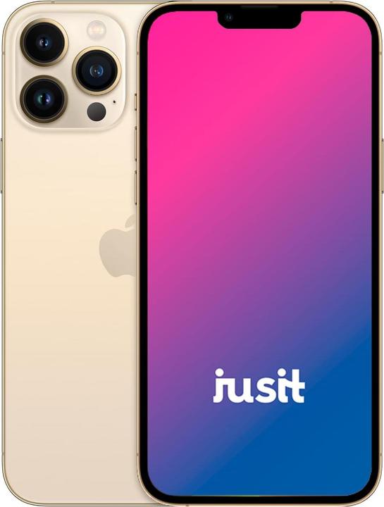 Image du produit jusit iPhone 13 Pro Max (256 Go, Or, 6.70", 0.00 Mpx, B / Très bon)