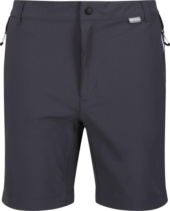 Actual product image Regatta Mens Mountain II Shorts (54 D)