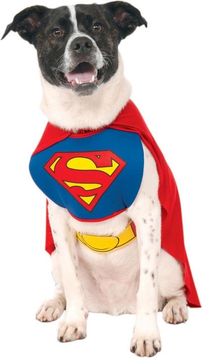 Actual product image Superman Dog Costume (S, Dog costume)