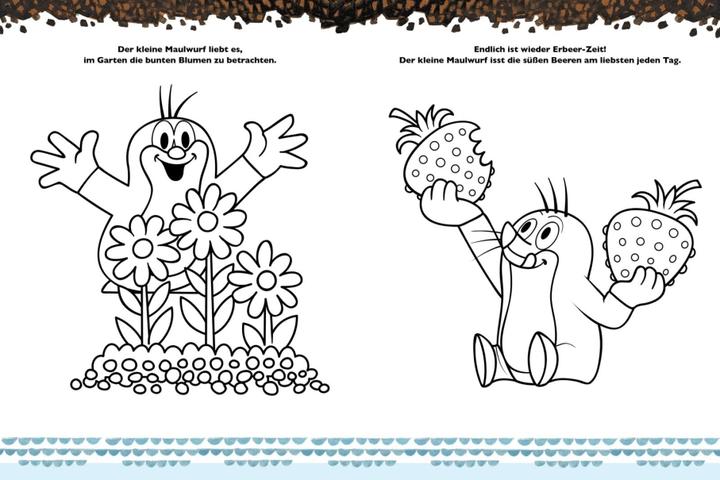 Actual product image Der kleine Maulwurf: Mein liebstes Stickerbuch