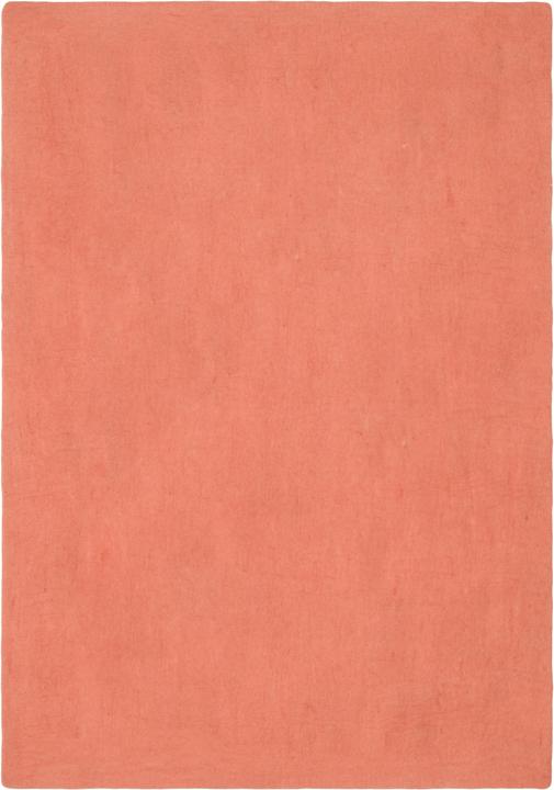 color salmone