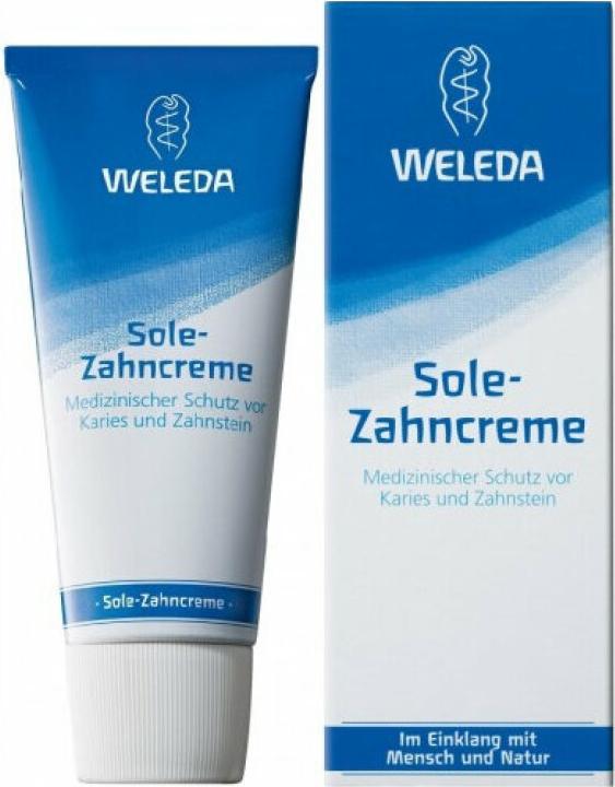 Actual product image Weleda Salt Toothpaste (75 ml)