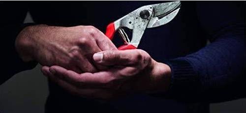 Immagine prodotto Felco 32 Cesoie da potatura