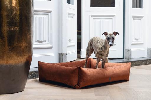 Actual product image Designed by Lotte Ribbed divan bed (Dog)
