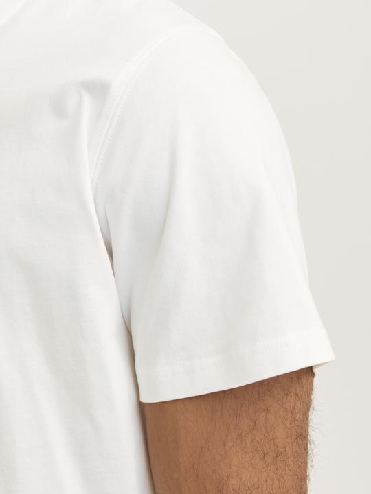 Image du produit Jack & Jones Rdddan Crew Neck Tee S/S Noos (XXL)