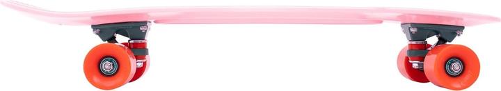 Immagine prodotto Penny Cactus Wanderlust 27 (27")