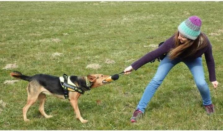 Immagine prodotto Out of the blue Borsa per crocchette da addestramento per cani taglia M (M)