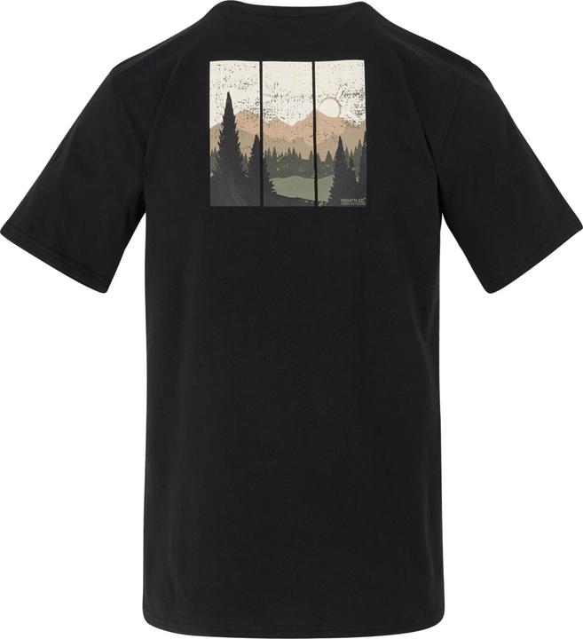Actual product image Regatta Mens Mountain Back Print T-Shirt (4XL)