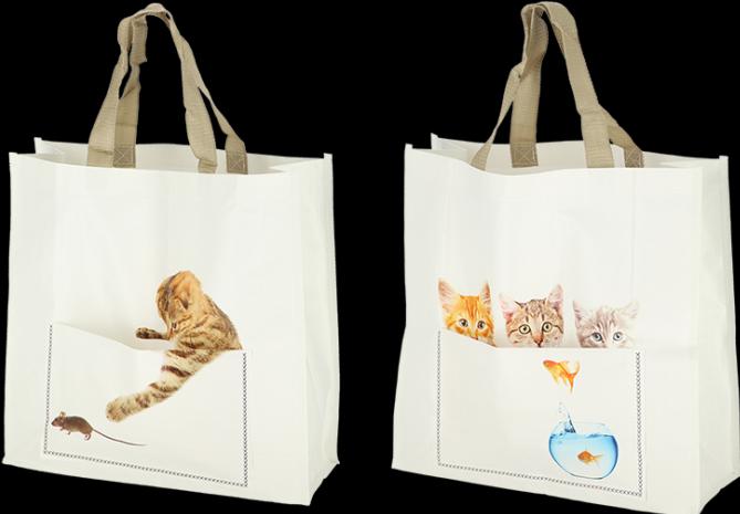 Merkloos Katze