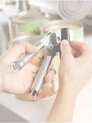 Actual product image WMF Professional Plus