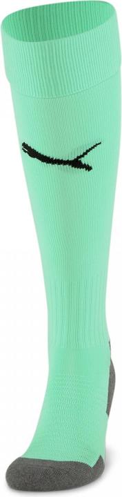 Actual product image Puma Team LIGA Socks CORE-703441 (35, 39)