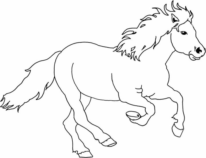 Image du produit Un grand plaisir de coloriage pour les amateurs de chevaux