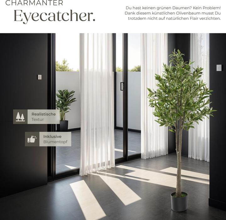 Produktbild tectake Olivenbaum Oleand (150 cm)