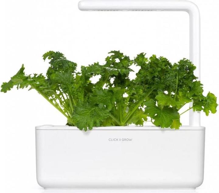 Produktbild Click and Grow Saatgut Wasabi-Senf 3er-Pack (Kräutersamen)