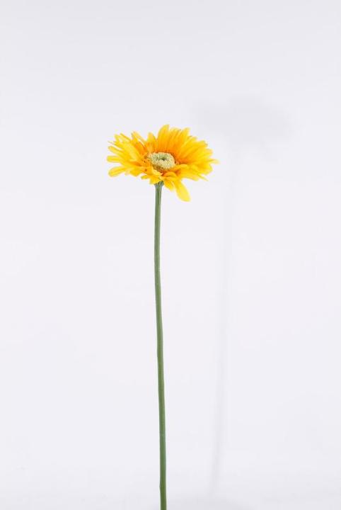 Image du produit Luwatex Gerbera (50 cm)