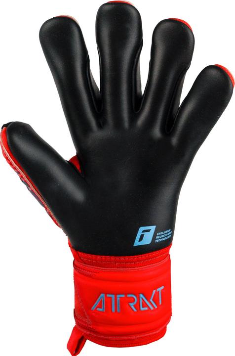 Image du produit Reusch Attrakt Gold X (5.5)