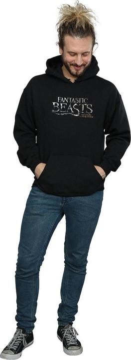 Actual product image Fantastic Beasts Mens Text Logo Hoodie (M)