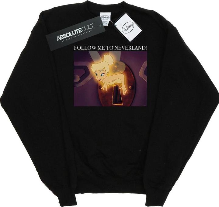 Image du produit Disney - Sweat TINKER BELL FOLLOW ME - Homme (XXL)