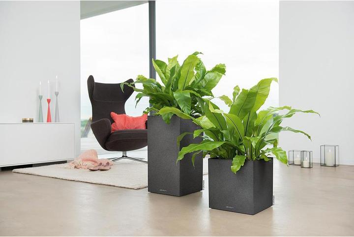Image du produit Lechuza Canto Stone (40 cm)