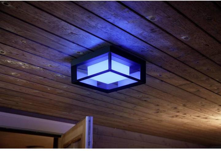 Actual product image Philips Hue Econic Base (1150 lm)