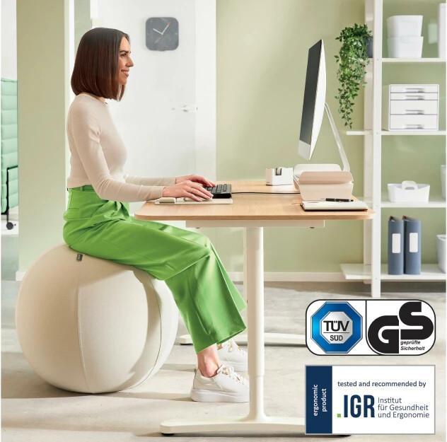 Produktbild Leitz Ergo Active Sitzball (75 cm)