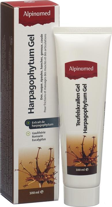 Actual product image Alpinamed Devil's Claw OintmentGel (1 x, 100 ml, 120 g)