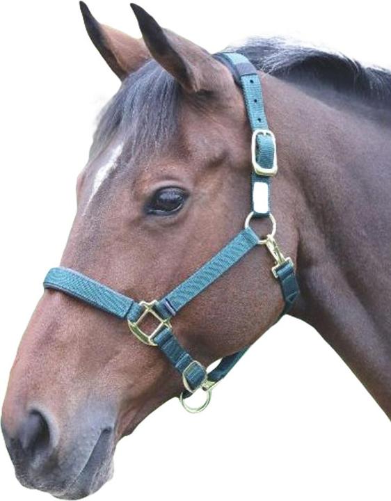 Produktbild Shires Topaz Nylon Pferdehalfter