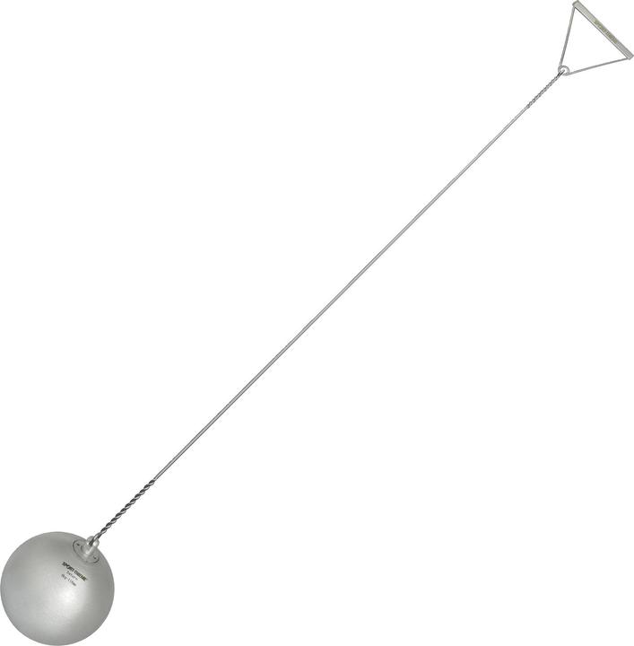 6000 g