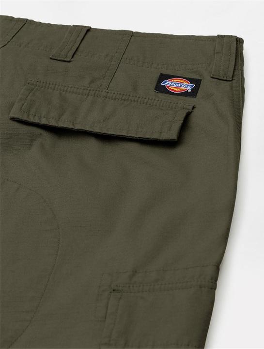 Image du produit Dickies Eagle Bend (30)