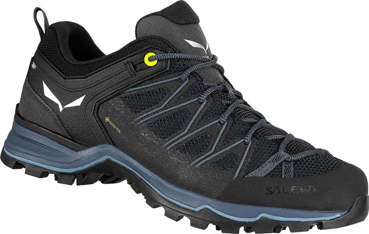Actual product image Salewa MTN Trainer Lite GTX Shoes (43)