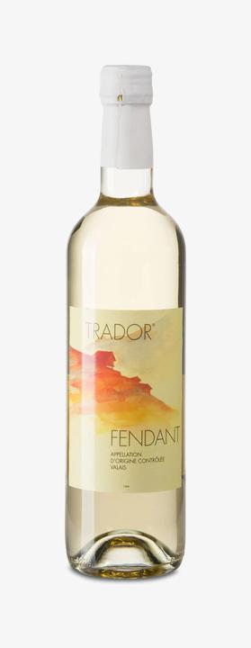 Immagine prodotto Délival Fendant (1 x 50 cl)
