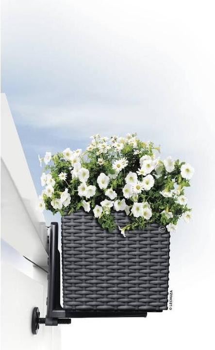 Actual product image Lechuza Balconera Cottage (19 cm)