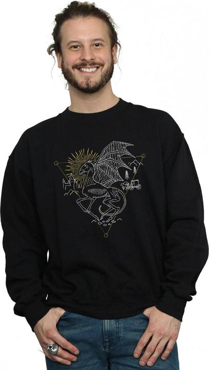 Immagine prodotto Thestral Line Art Felpa Uomo (L)