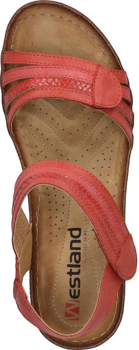Immagine prodotto Westland 36603-82 (36)