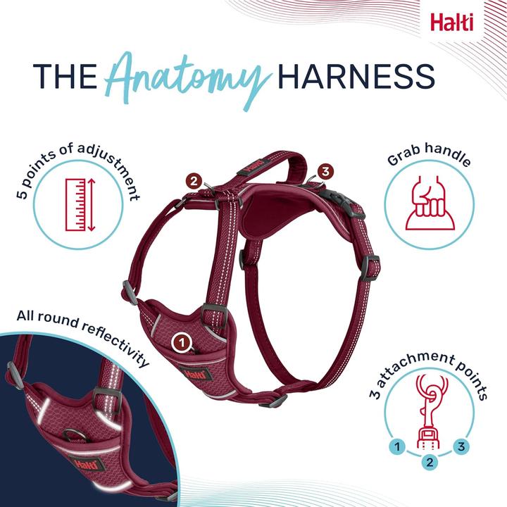 Produktbild Company of Animals Halti Anatomy XL Hundegeschirr (XL, Hund, Allgemein)