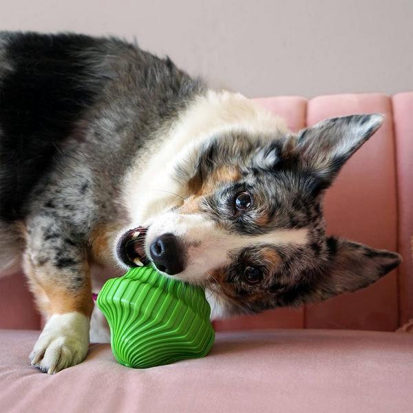 Image du produit KONG Squeezz Orbitz Spin Top M/L, 11.45 cm, assorties (Jouet à mâcher pour chien)