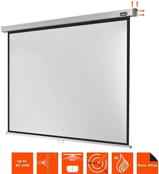 Produktbild Celexon Rollo Professional, Leinwand, 4:3 (133.07", 4:3)