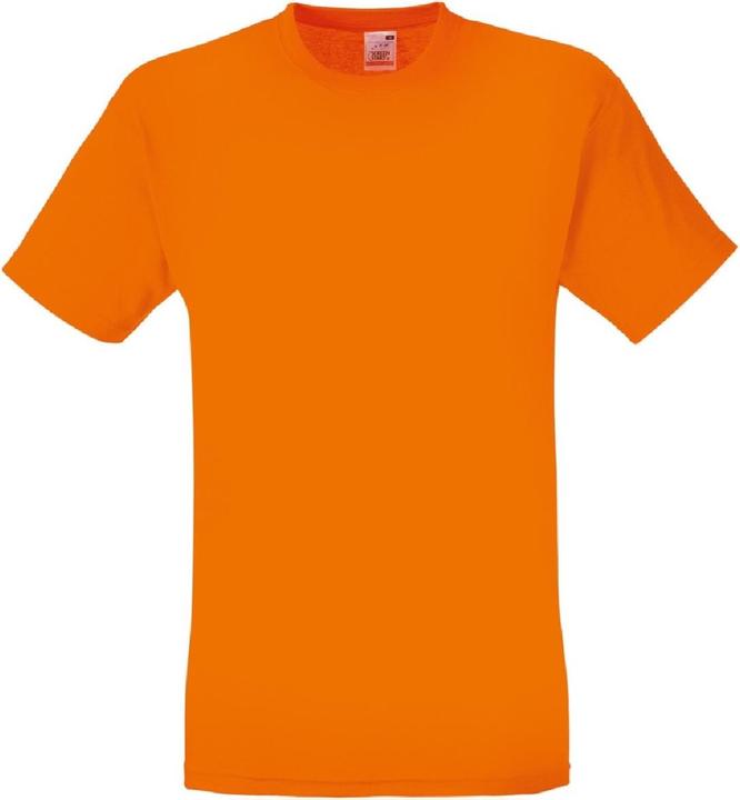 Fruit of the Loom Screen Stars Original TShirt