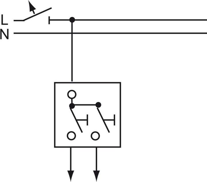 Actual product image Busch-Jaeger Rocker switch insert